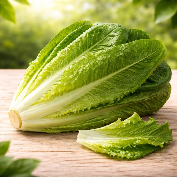 Roman Lettuce 500g