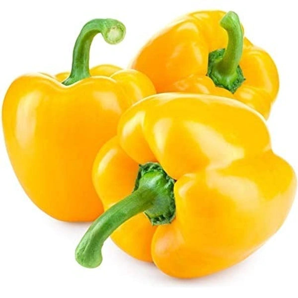 Capsicum Yellow 500g